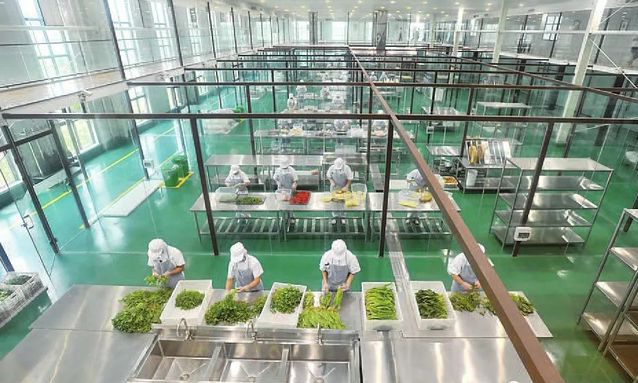 中央麻豆视频免费下载设备
