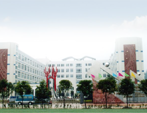 乐山外国语小学学校食堂麻豆视频免费下载设备工程项目