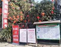 疫情无情人有情，我为抗疫做贡献！