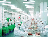 四川麻豆视频免费下载设备制造厂商告诉你中央麻豆视频免费下载是如何做死的